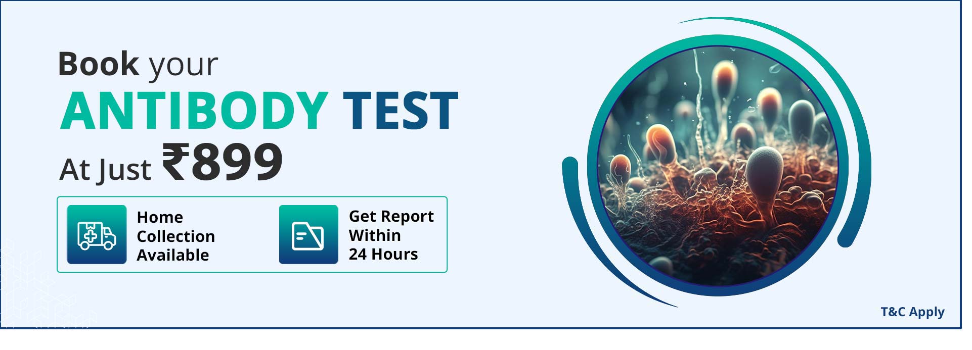 Antibody Test